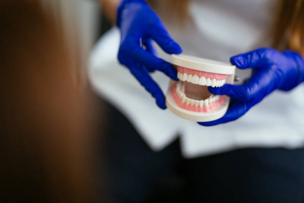 Professional Holistic Dental Care Services in Baldwinville, MA